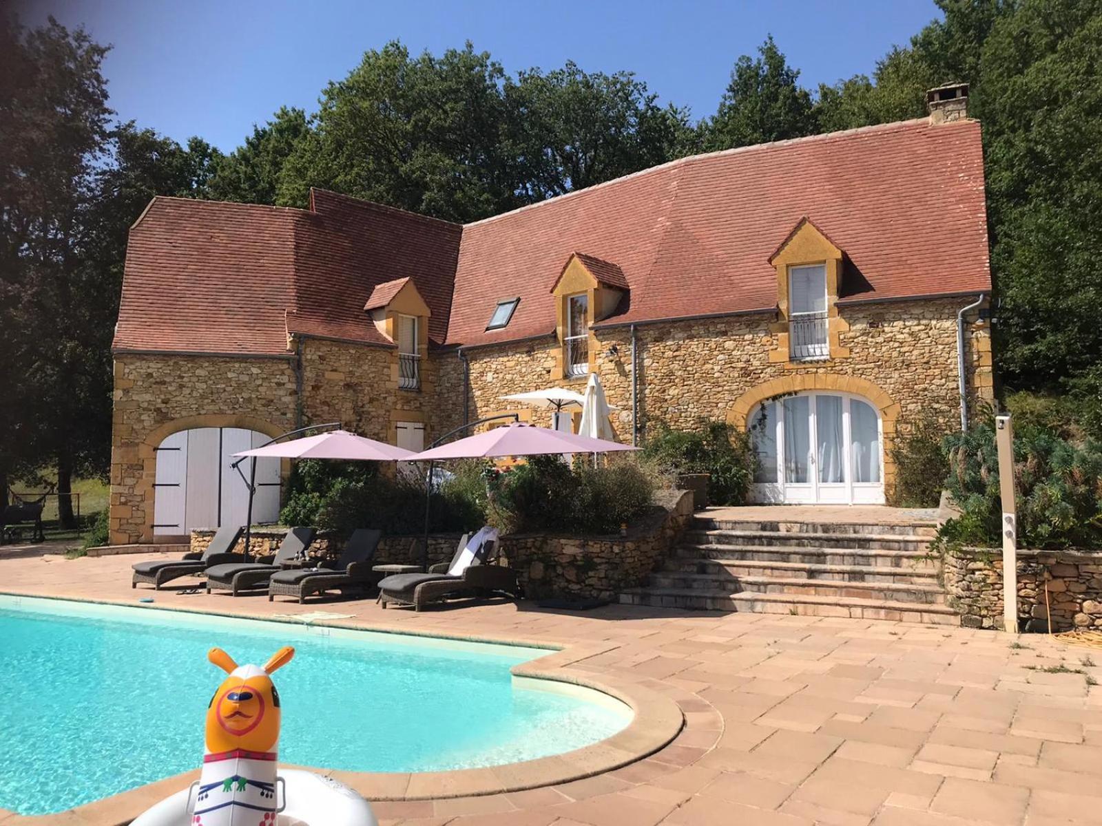 Luxury Chateau W. Pool & Hot Tub In Dordogne Бенак-е-Казнак Екстер'єр фото